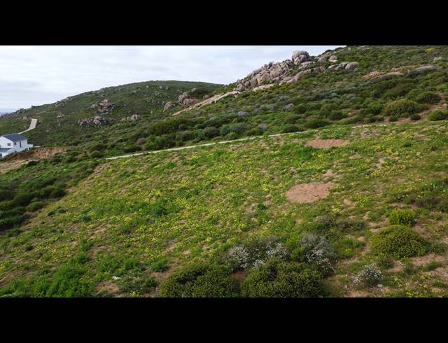 278M² VACANT LAND FOR SALE IN STEENBERGS COVE